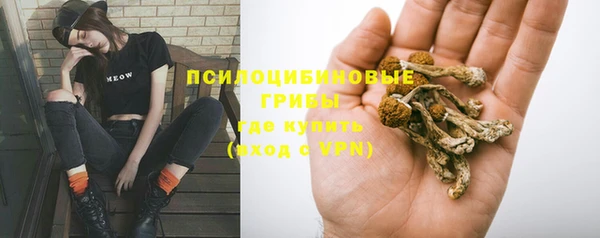 spice Володарск
